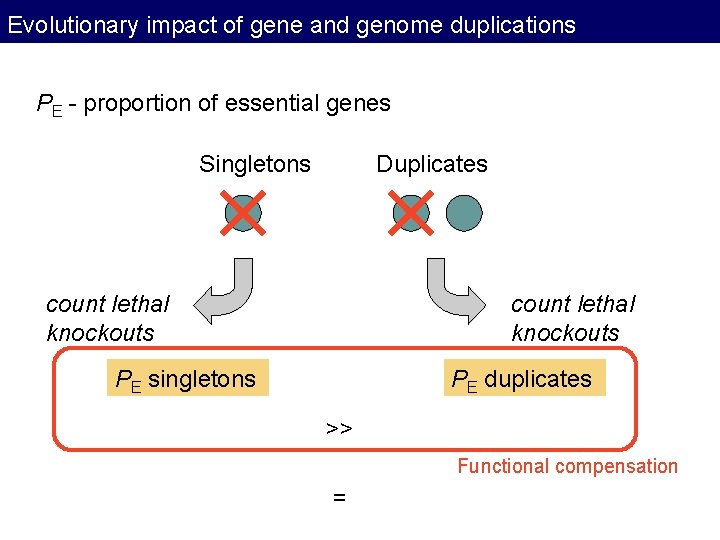 Evolutionary impact of gene and genome duplications PE - proportion of essential genes Singletons Evolutionary impact of gene and genome duplications PE - proportion of essential genes Singletons