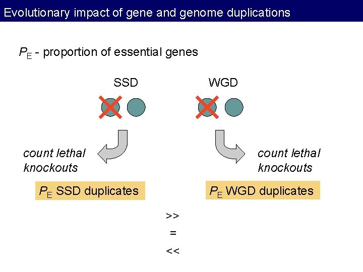 Evolutionary impact of gene and genome duplications PE - proportion of essential genes SSD Evolutionary impact of gene and genome duplications PE - proportion of essential genes SSD