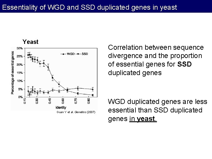 Essentiality of WGD and SSD duplicated genes in yeast Yeast Correlation between sequence divergence Essentiality of WGD and SSD duplicated genes in yeast Yeast Correlation between sequence divergence
