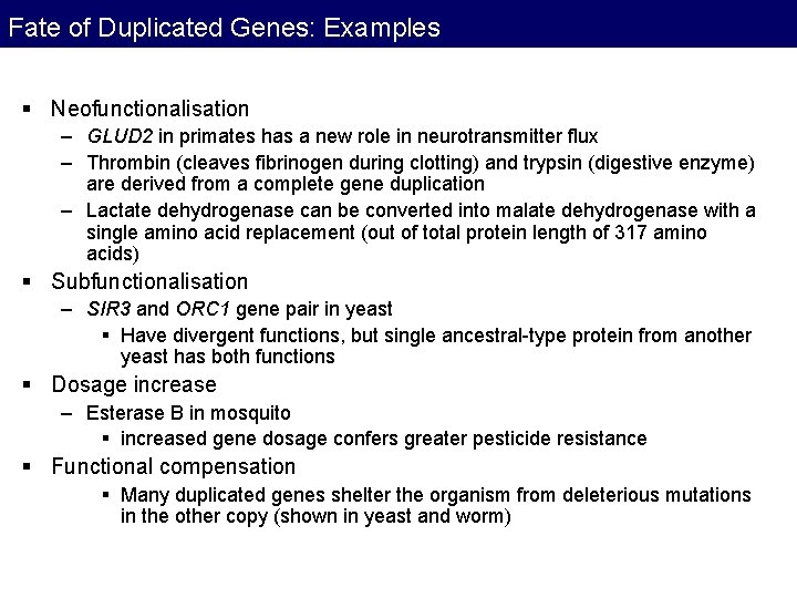 Fate of Duplicated Genes: Examples § Neofunctionalisation – GLUD 2 in primates has a Fate of Duplicated Genes: Examples § Neofunctionalisation – GLUD 2 in primates has a