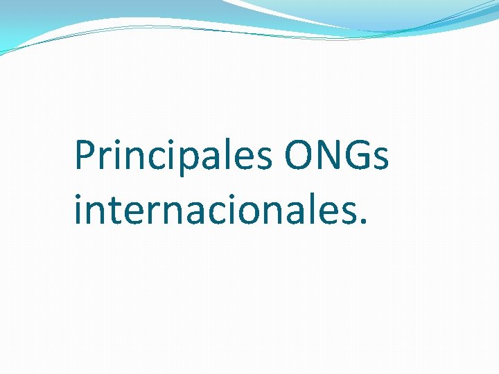 Principales ONGs internacionales. 