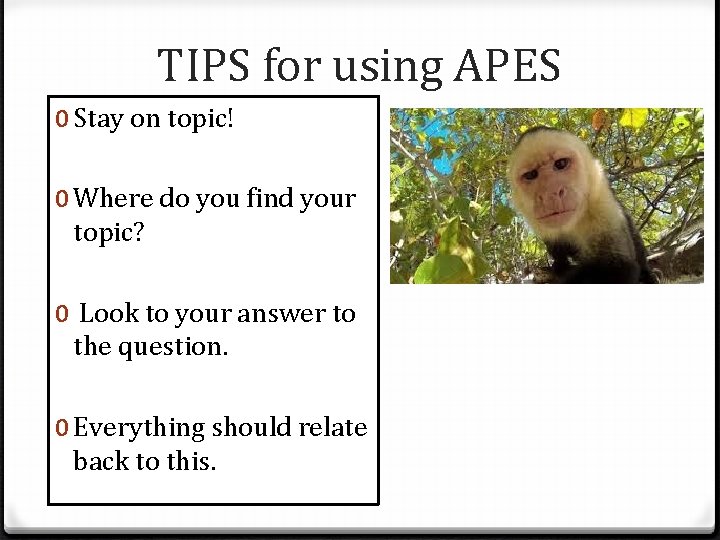 TIPS for using APES 0 Stay on topic! 0 Where do you find your