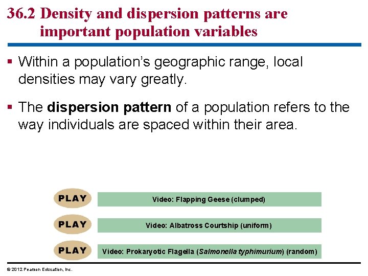36. 2 Density and dispersion patterns are important population variables § Within a population’s