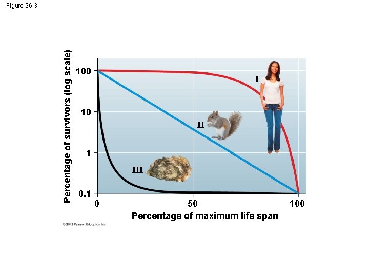 Percentage of survivors (log scale) Figure 36. 3 100 I 10 II 1 III