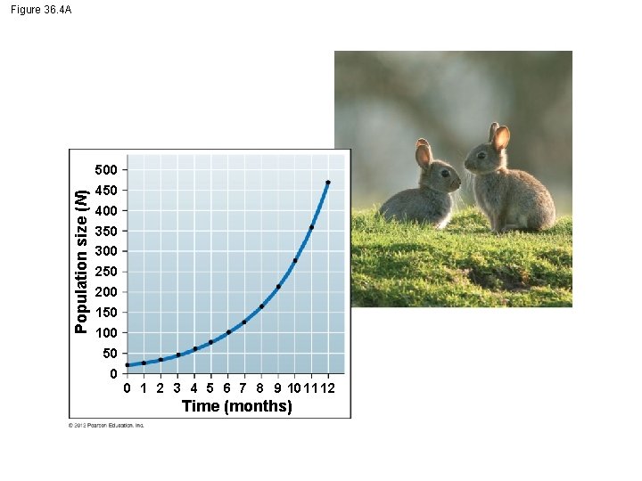 Population size (N) Figure 36. 4 A 500 450 400 350 300 250 200