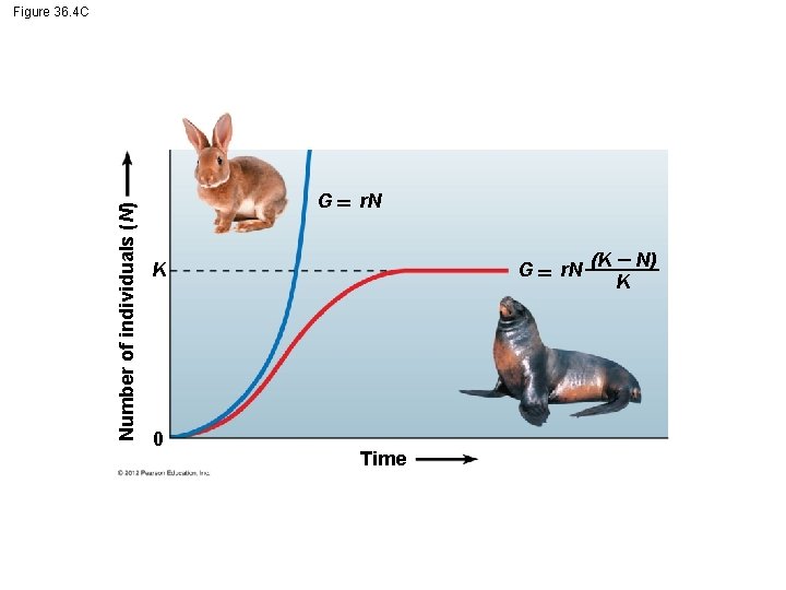 Number of individuals (N) Figure 36. 4 C G r. N K 0 G