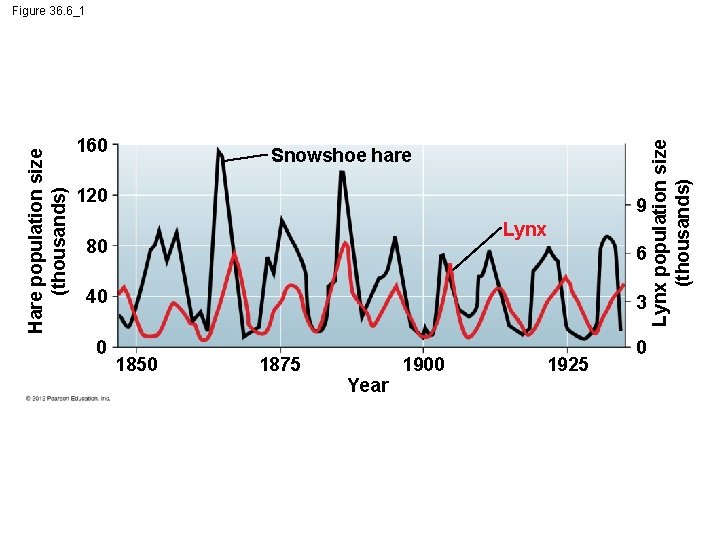 160 Snowshoe hare 120 9 Lynx 80 6 40 3 0 0 1850 1875
