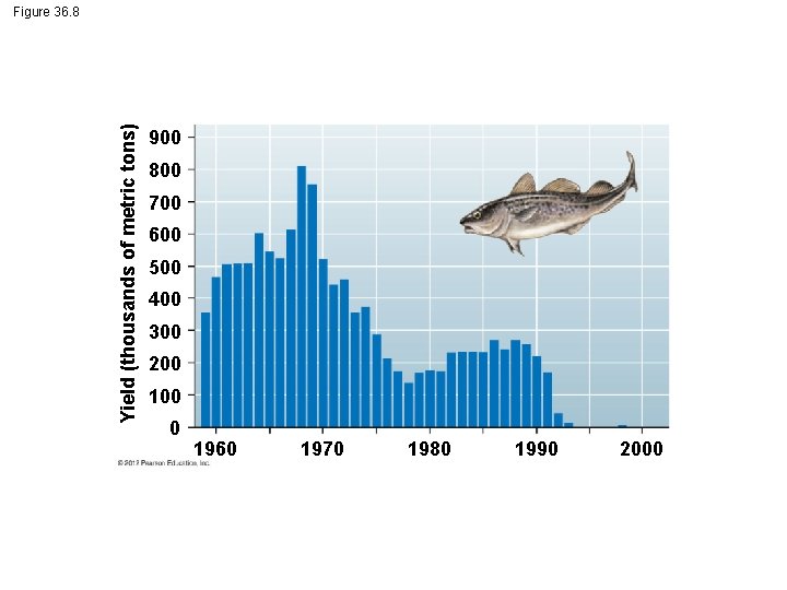 Yield (thousands of metric tons) Figure 36. 8 900 800 700 600 500 400