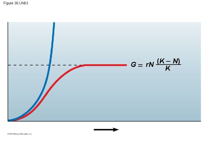 Figure 36. UN 03 (K N) G r. N K 