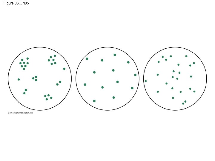 Figure 36. UN 05 