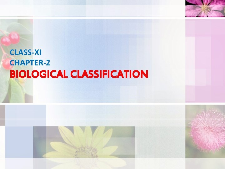 CLASS-XI CHAPTER-2 BIOLOGICAL CLASSIFICATION 