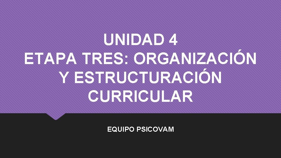 UNIDAD 4 ETAPA TRES: ORGANIZACIÓN Y ESTRUCTURACIÓN CURRICULAR EQUIPO PSICOVAM 