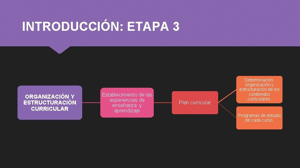 INTRODUCCIÓN: ETAPA 3 ORGANIZACIÓN Y ESTRUCTURACIÓN CURRICULAR Establecimiento de las experiencias de enseñanza y