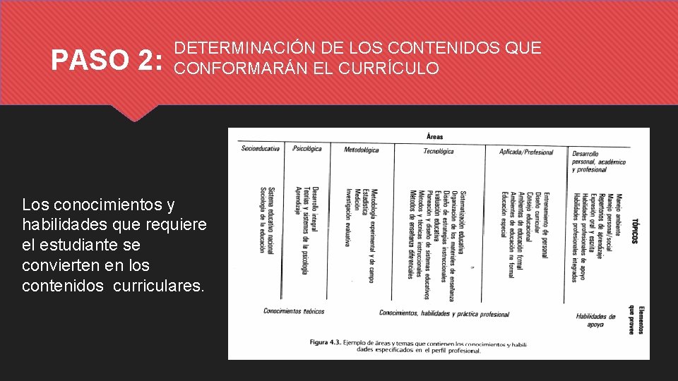 PASO 2: DETERMINACIÓN DE LOS CONTENIDOS QUE CONFORMARÁN EL CURRÍCULO Los conocimientos y habilidades