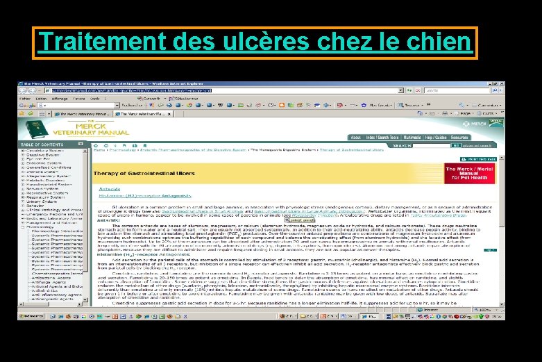 Traitement des ulcères chez le chien Traitement des ulcères chez le chien
