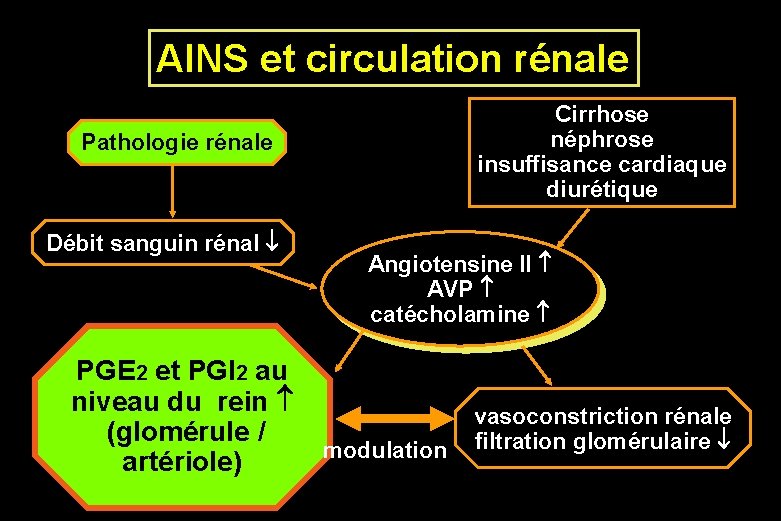 AINS et circulation rénale Cirrhose néphrose insuffisance cardiaque diurétique Pathologie rénale Débit sanguin rénal AINS et circulation rénale Cirrhose néphrose insuffisance cardiaque diurétique Pathologie rénale Débit sanguin rénal