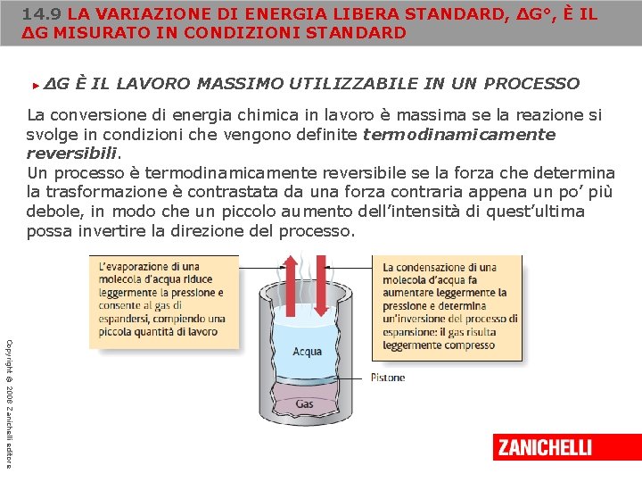 14. 9 LA VARIAZIONE DI ENERGIA LIBERA STANDARD, ΔG°, È IL ΔG MISURATO IN