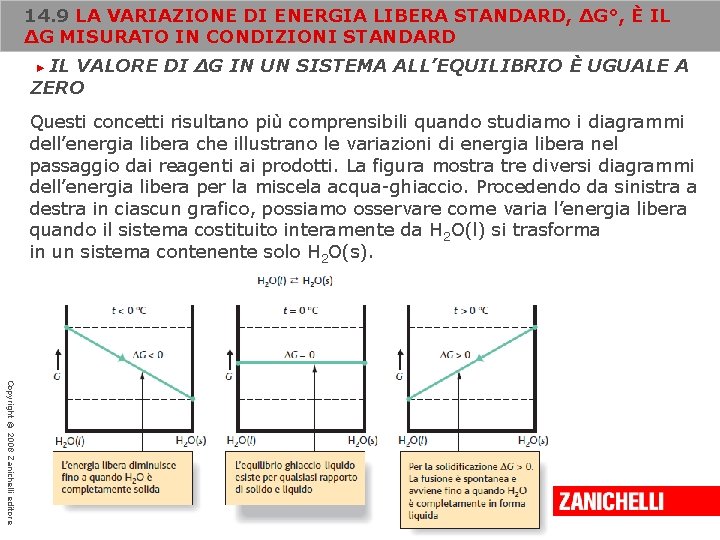 14. 9 LA VARIAZIONE DI ENERGIA LIBERA STANDARD, ΔG°, È IL ΔG MISURATO IN