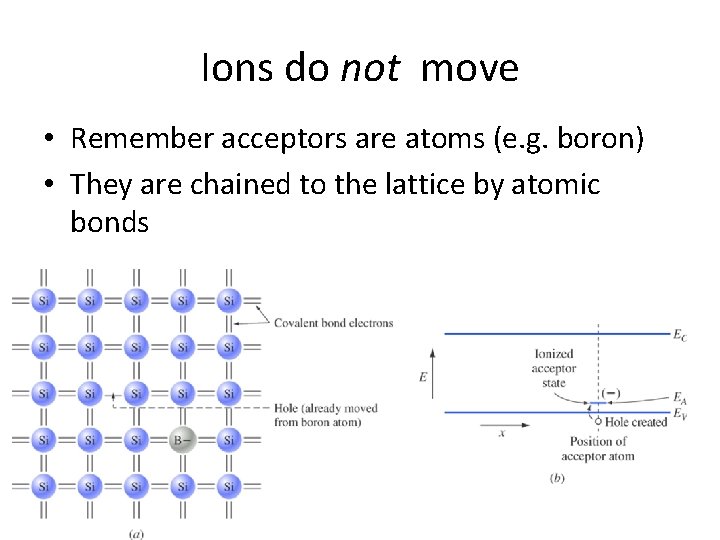 Ions do not move • Remember acceptors are atoms (e. g. boron) • They