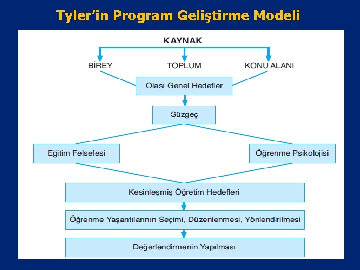 Tyler’in Program Geliştirme Modeli 