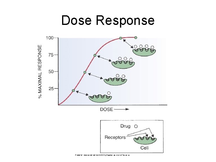 Dose Response Dose Response