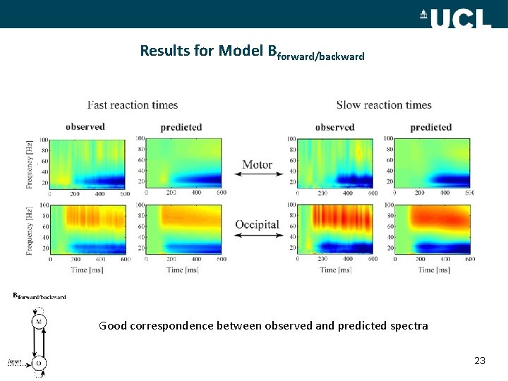 Results for Model Bforward/backward Good correspondence between observed and predicted spectra 23 