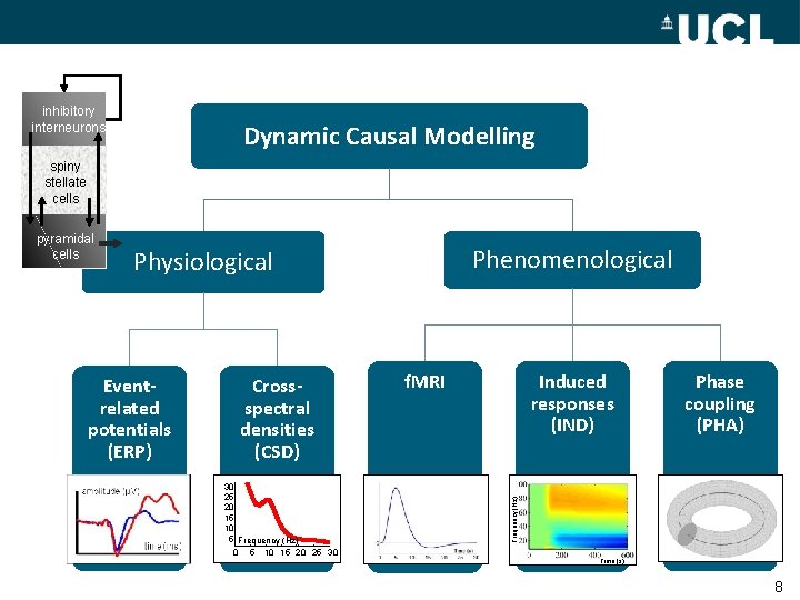inhibitory interneurons Dynamic Causal Modelling spiny stellate cells Phenomenological Physiological Eventrelated potentials (ERP) Crossspectral