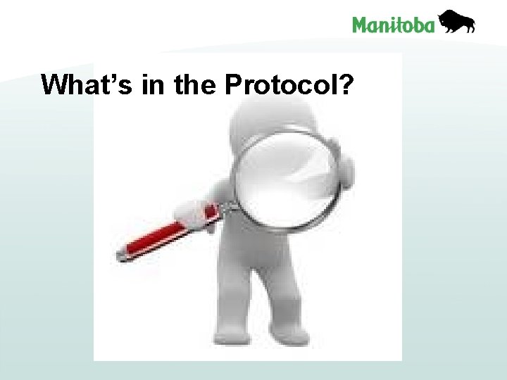 What’s in the Protocol? 