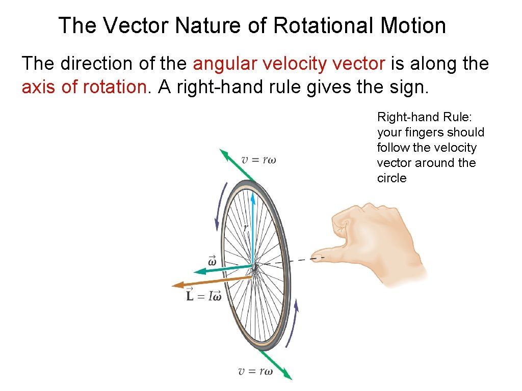 The Vector Nature of Rotational Motion The direction of the angular velocity vector is