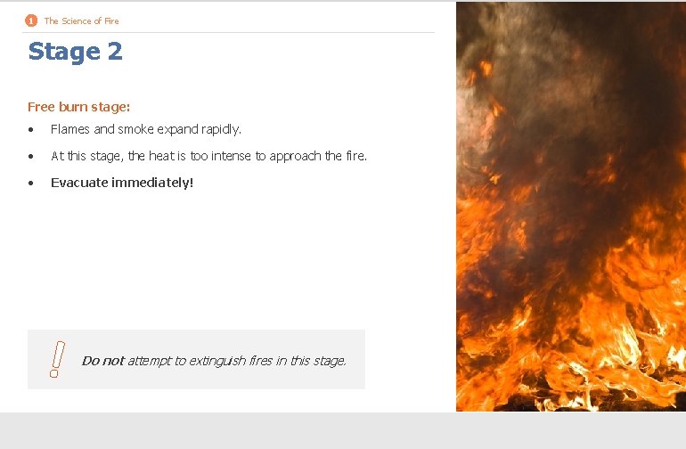 1 The Science of Fire Stage 2 Free burn stage: • Flames and smoke