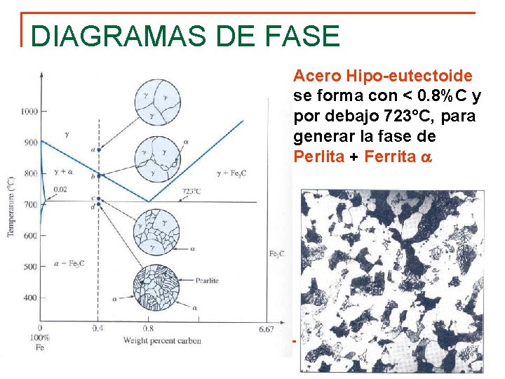 DIAGRAMAS DE FASE Acero Hipo-eutectoide se forma con < 0. 8%C y por debajo