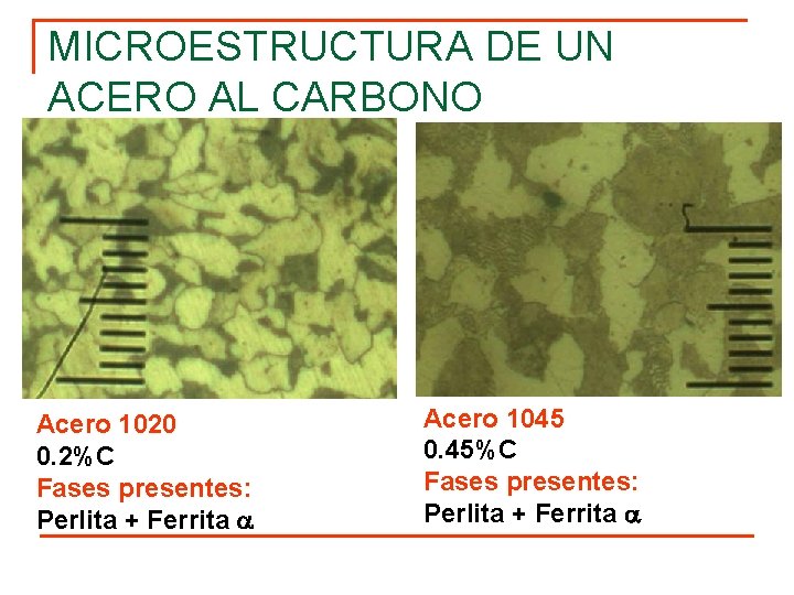 MICROESTRUCTURA DE UN ACERO AL CARBONO Acero 1020 0. 2%C Fases presentes: Perlita +