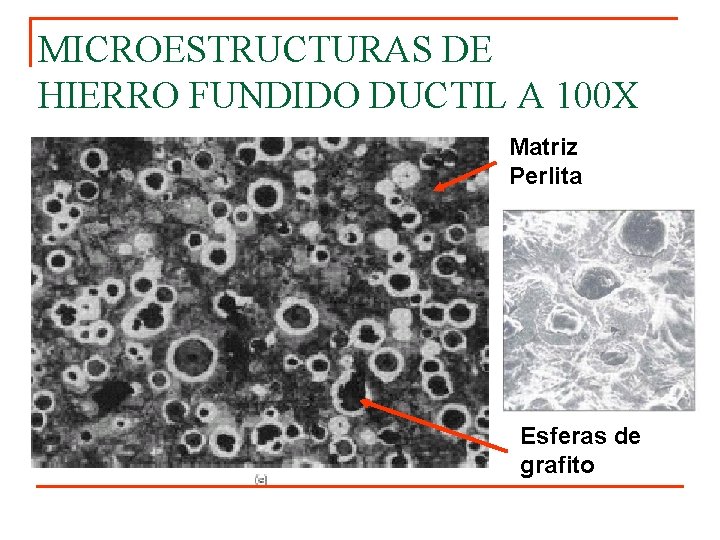 MICROESTRUCTURAS DE HIERRO FUNDIDO DUCTIL A 100 X Matriz Perlita Esferas de grafito 