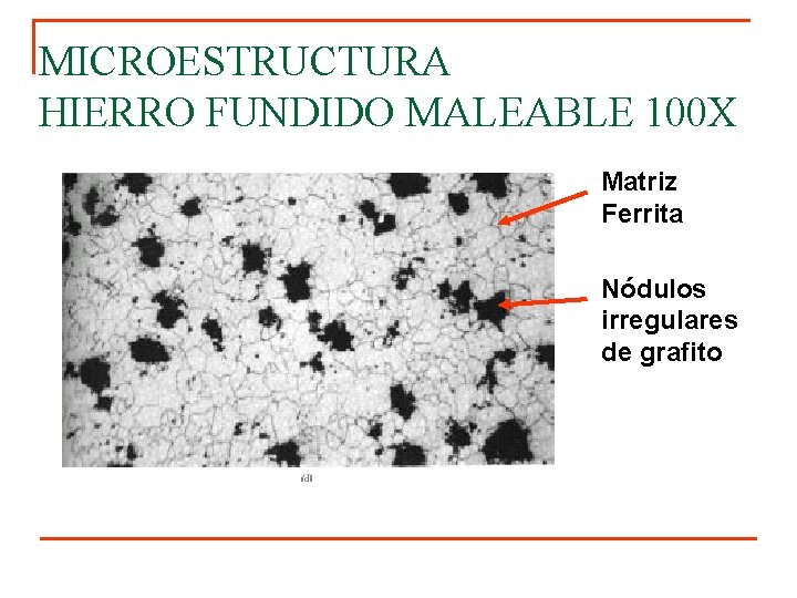 MICROESTRUCTURA HIERRO FUNDIDO MALEABLE 100 X Matriz Ferrita Nódulos irregulares de grafito 