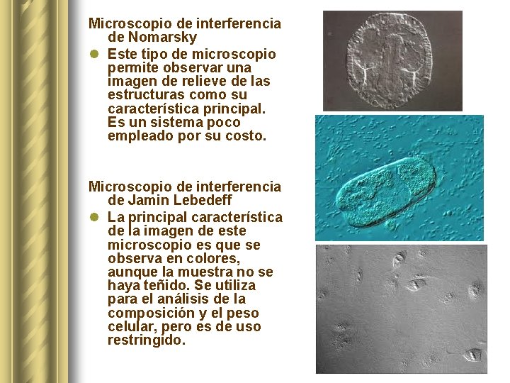 Microscopio de interferencia de Nomarsky l Este tipo de microscopio permite observar una imagen