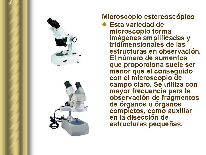 Microscopio estereoscópico l Esta variedad de microscopio forma imágenes amplificadas y tridimensionales de las