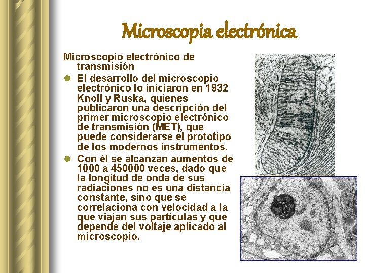 Microscopia electrónica Microscopio electrónico de transmisión l El desarrollo del microscopio electrónico lo iniciaron