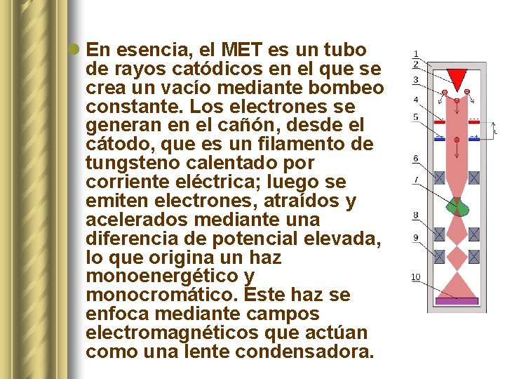 l En esencia, el MET es un tubo de rayos catódicos en el que