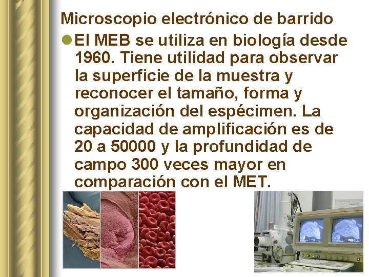 Microscopio electrónico de barrido l El MEB se utiliza en biología desde 1960. Tiene