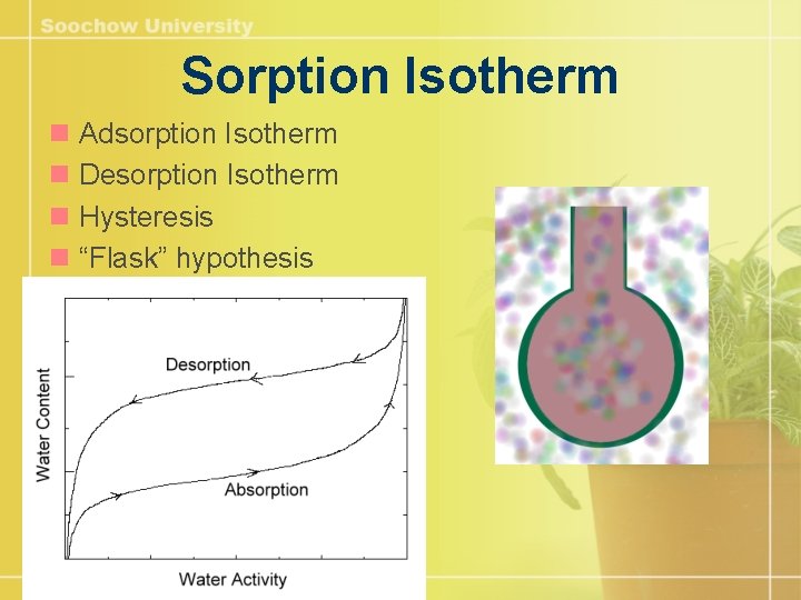 Sorption Isotherm n Adsorption Isotherm n Desorption Isotherm n Hysteresis n “Flask” hypothesis 