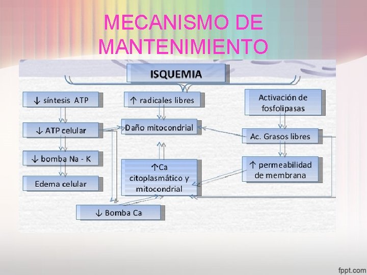 MECANISMO DE MANTENIMIENTO 