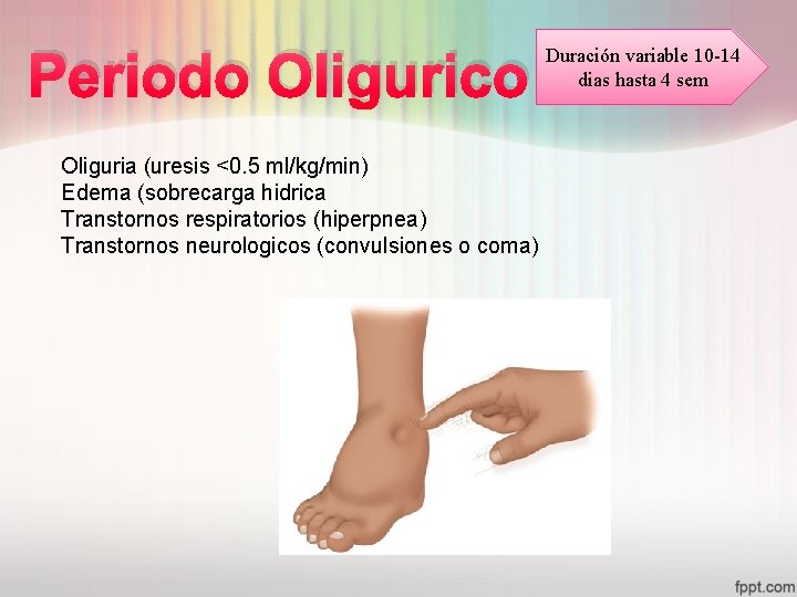Periodo Oligurico Oliguria (uresis <0. 5 ml/kg/min) Edema (sobrecarga hidrica Transtornos respiratorios (hiperpnea) Transtornos