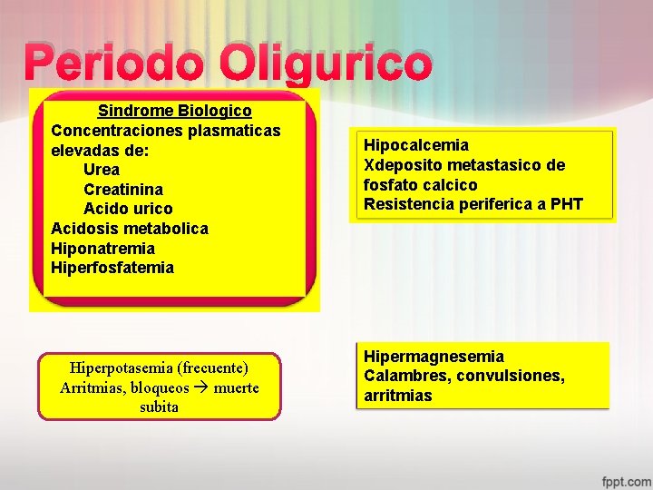 Periodo Oligurico Sindrome Biologico Concentraciones plasmaticas elevadas de: Urea Creatinina Acido urico Acidosis metabolica