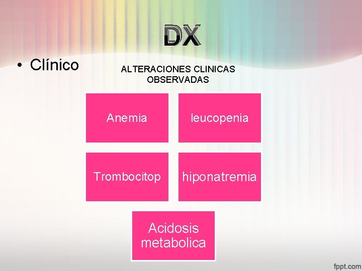 DX • Clínico ALTERACIONES CLINICAS OBSERVADAS Anemia leucopenia Trombocitop hiponatremia Acidosis metabolica 