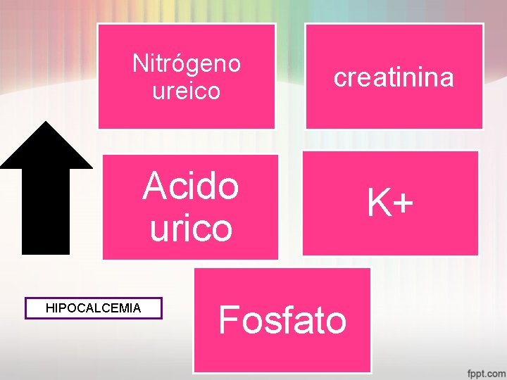 Nitrógeno ureico creatinina Acido urico K+ HIPOCALCEMIA Fosfato 