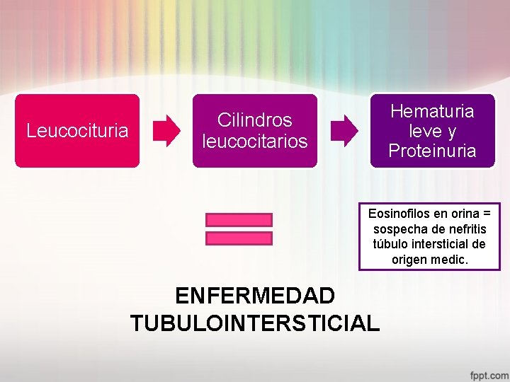 Leucocituria Hematuria leve y Proteinuria Cilindros leucocitarios Eosinofilos en orina = sospecha de nefritis