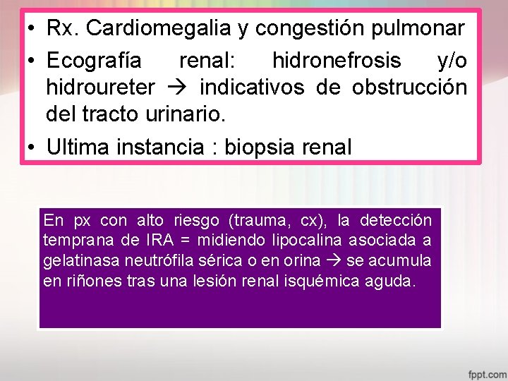  • Rx. Cardiomegalia y congestión pulmonar • Ecografía renal: hidronefrosis y/o hidroureter indicativos