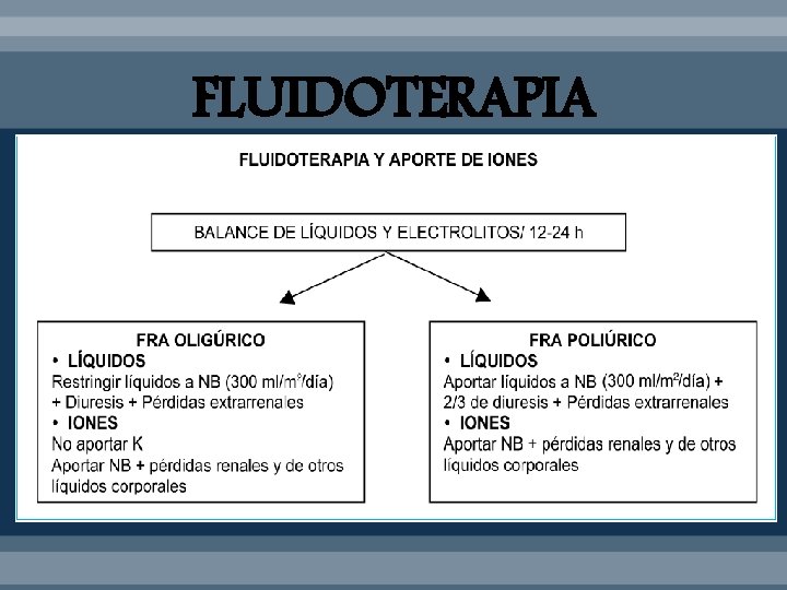 FLUIDOTERAPIA 