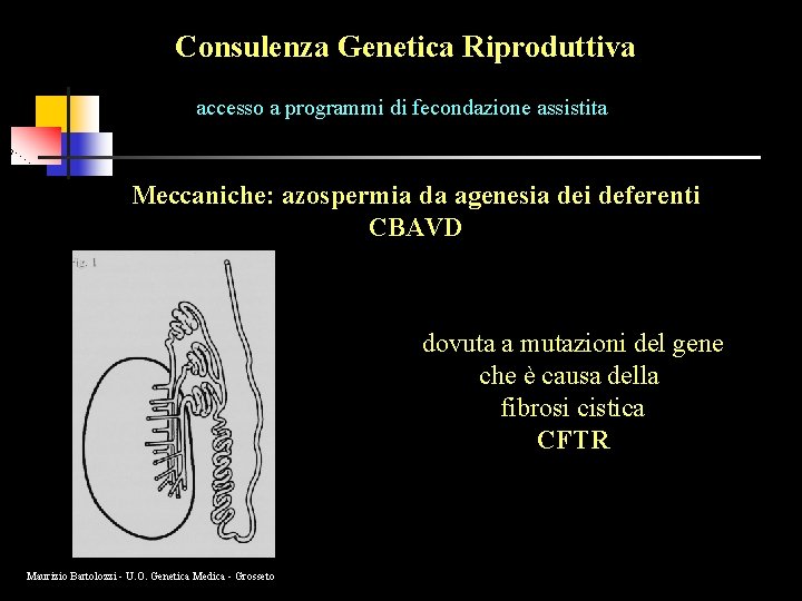 Consulenza Genetica Riproduttiva accesso a programmi di fecondazione assistita Meccaniche: azospermia da agenesia dei