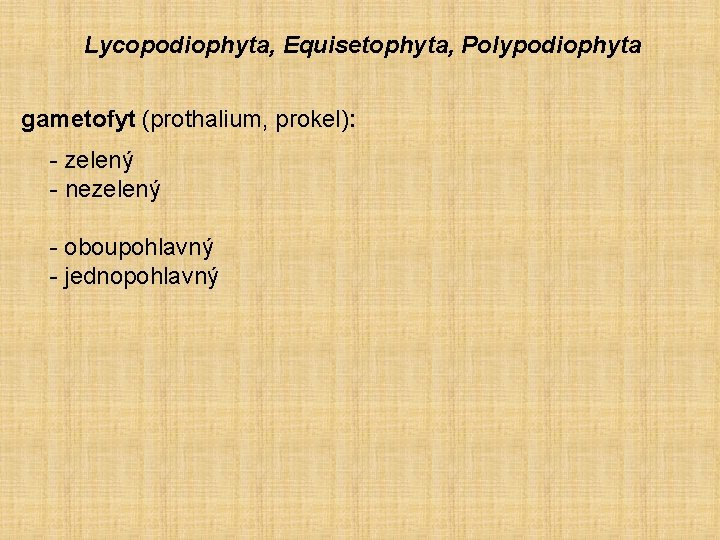Lycopodiophyta, Equisetophyta, Polypodiophyta gametofyt (prothalium, prokel): - zelený - nezelený - oboupohlavný - jednopohlavný